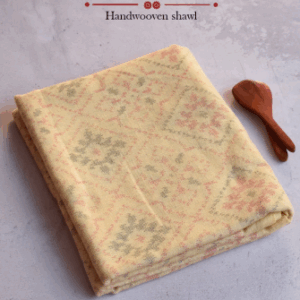 Single Ikat Patola Shawl