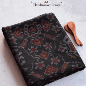 Single Ikat Patola Shawl