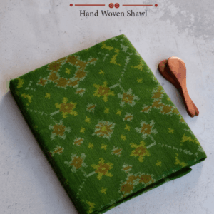 Single Ikat Patola Shawl