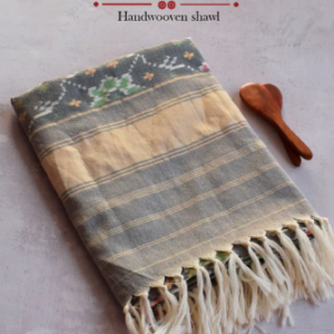Single Ikat Patola Shawl