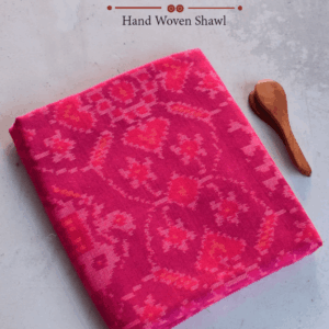 Single Ikat Patola Shawl