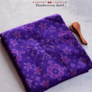 Single Ikat Patola Shawl