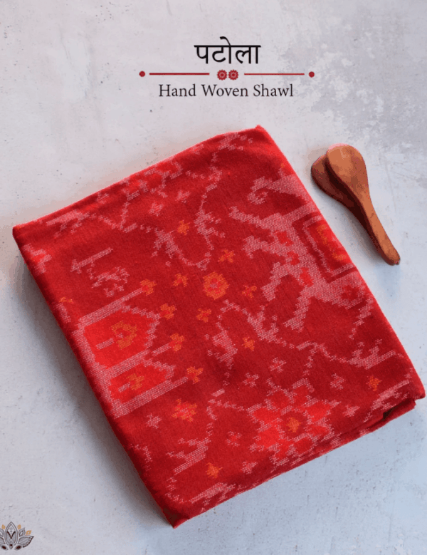 Single Ikat Patola Shawl